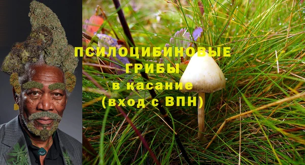 экстази Новодвинск