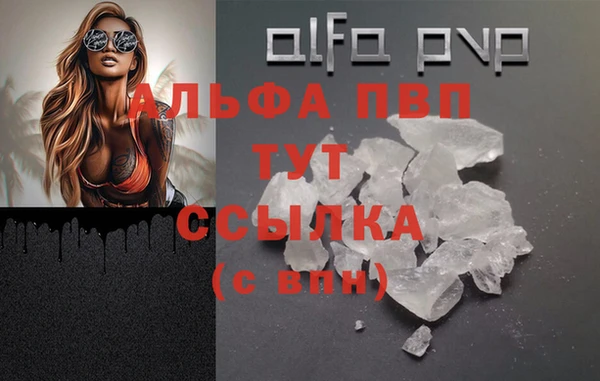 тгк Новозыбков