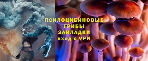 тгк Новозыбков