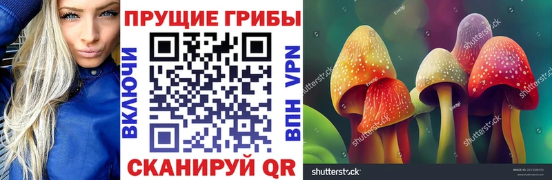 Псилоцибиновые грибы мухоморы  Руза 